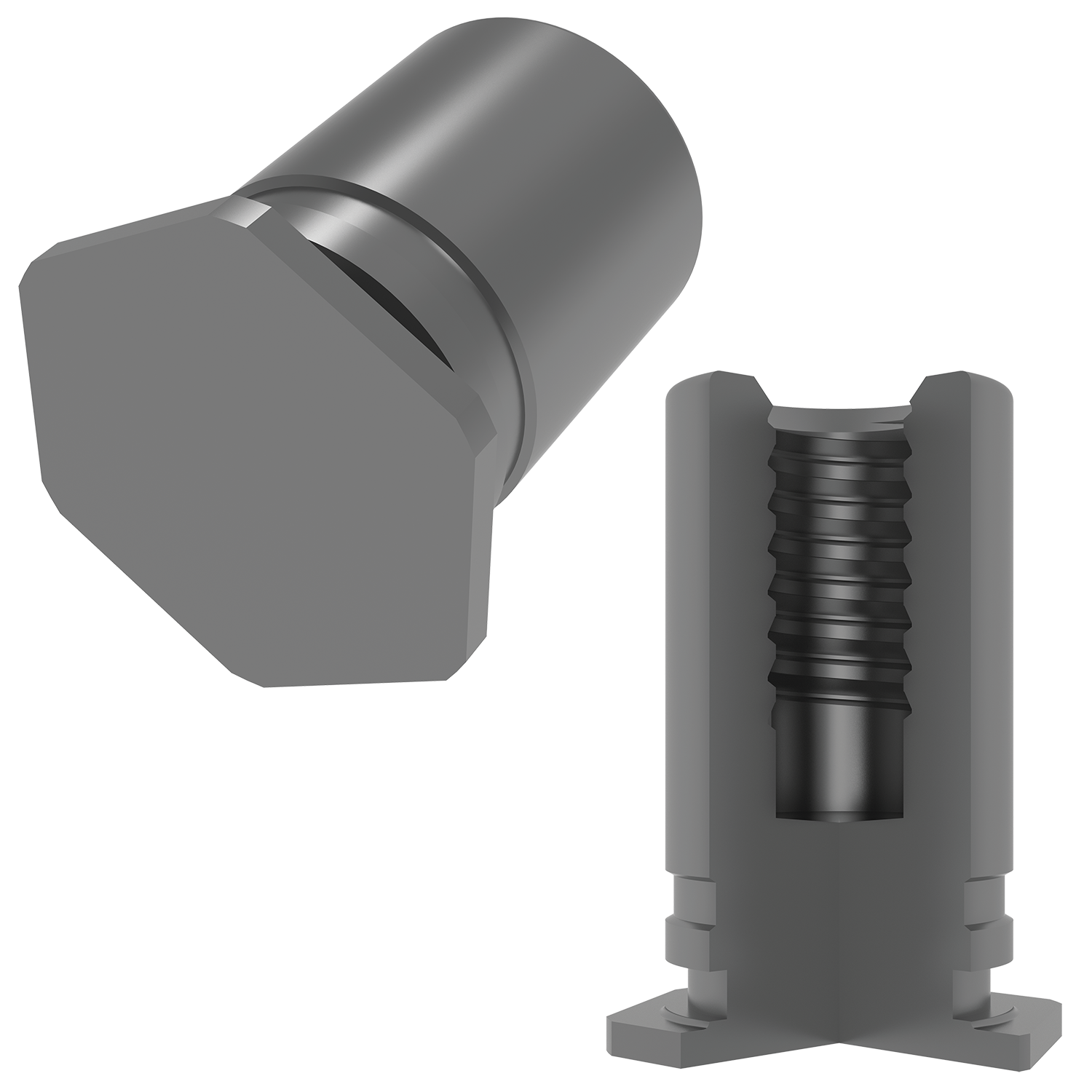 BSO-RT-Image